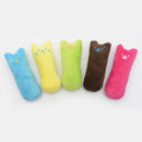 Brinquedo de pelúcia para catnip